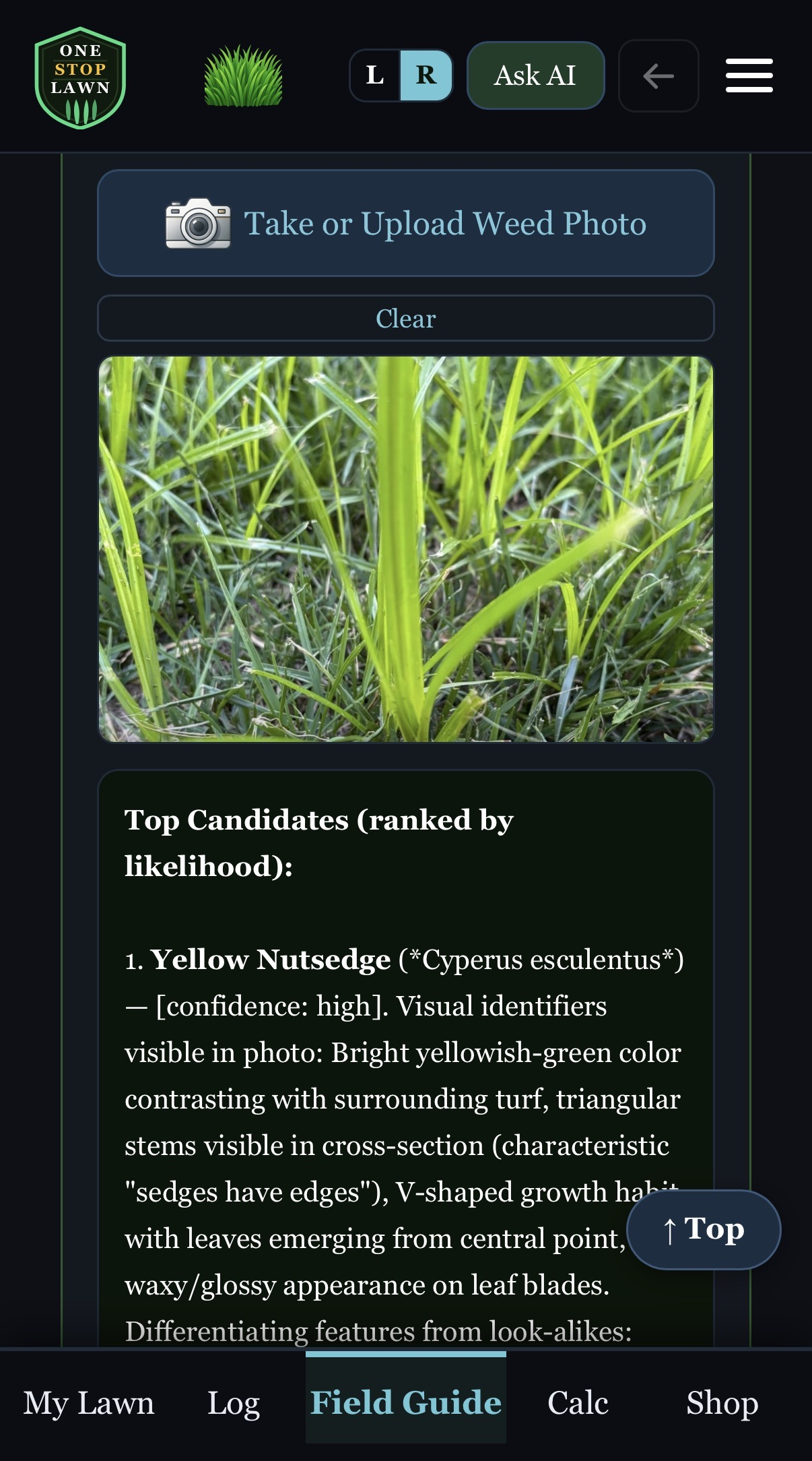 AI weed identification
